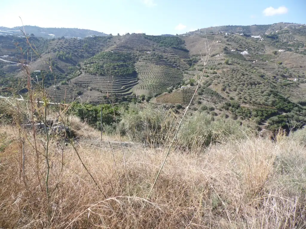 Casa rustica con giardino in vendita a Frigiliana, imagen 16