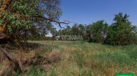 Terrenos en venta en Gójar, imagen 5