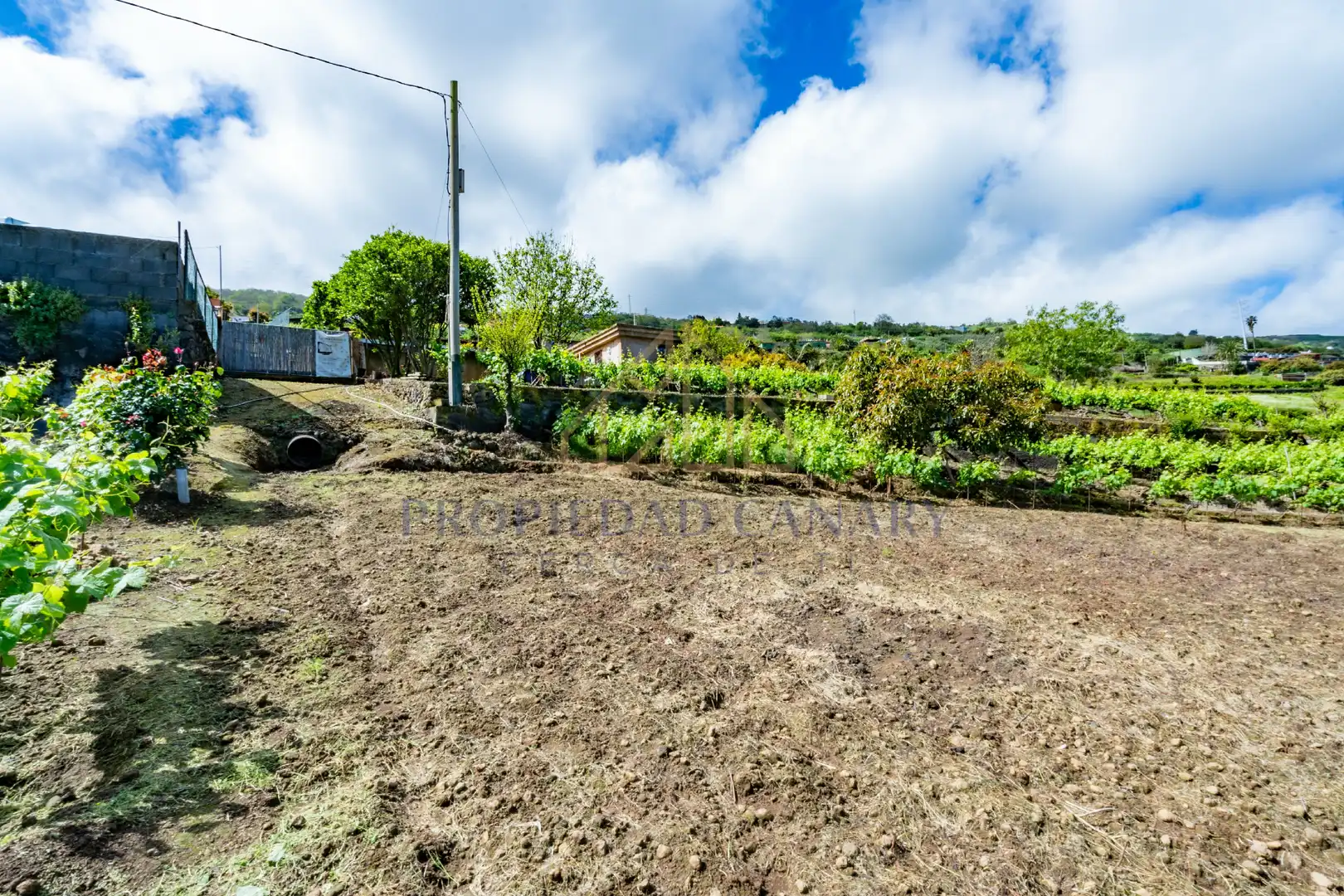 Casa rústica con jardín en venta en La Perdoma - San Antonio - Benijos, imagen 57