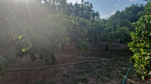 Foto 4 de Finca rústica en venta en El Palmar, Murcia Capital