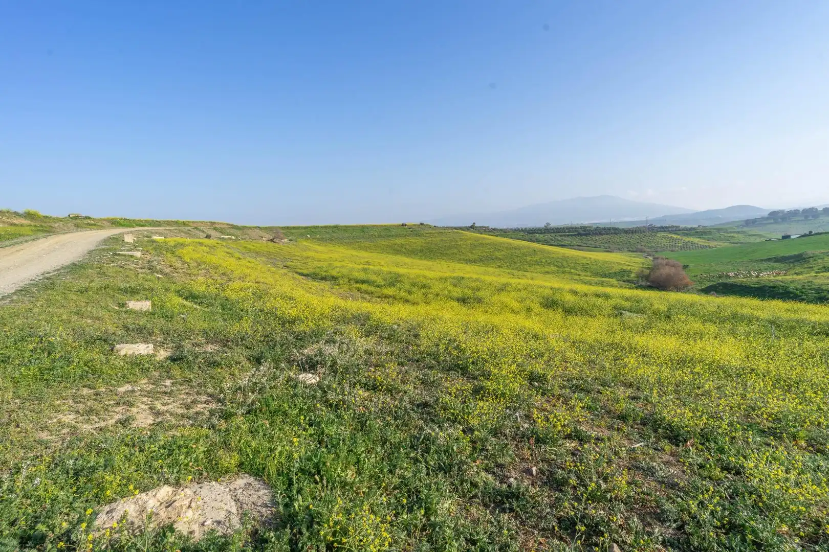 Rural land for sale in Casalpalma - Fahala, imagen 4