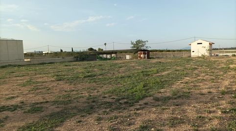 Oportunidad de Inversión Amplio Terreno Rural en Librilla, immagine 2
