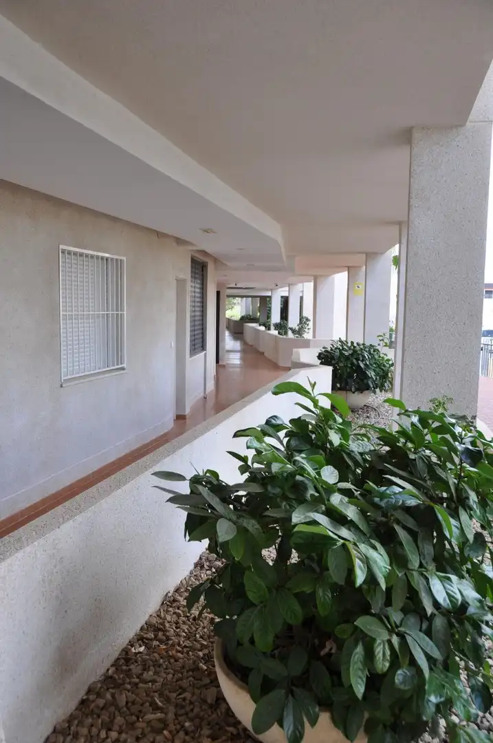 Appartement compact avec piscine à vendre à Monforte del Cid, imagen 20