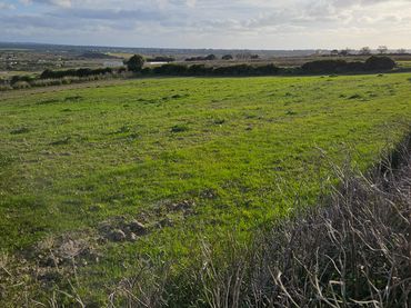 Rustikales Grundstück zum Verkauf in Los Franceses – La Vega