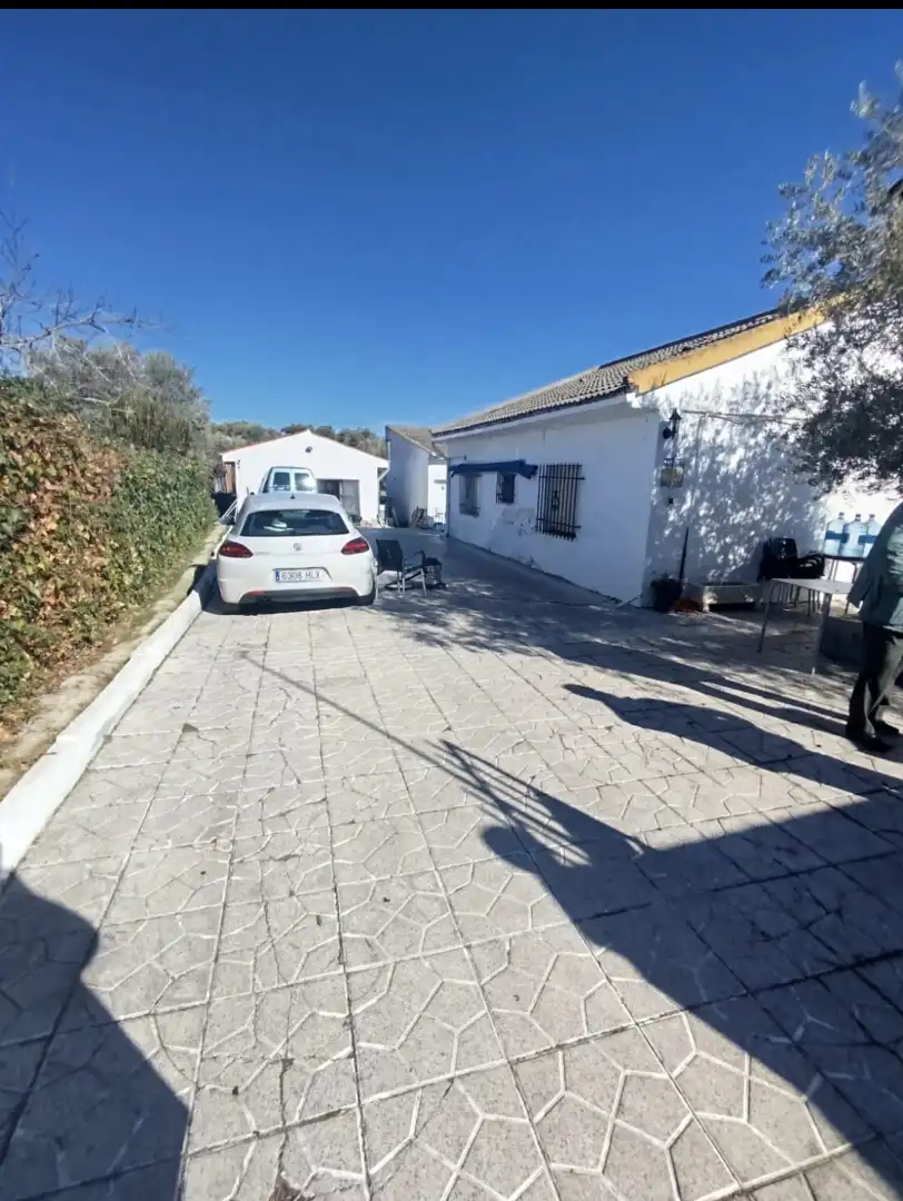 Chalet con piscina en venta en Calle Canario 16, imagen 9