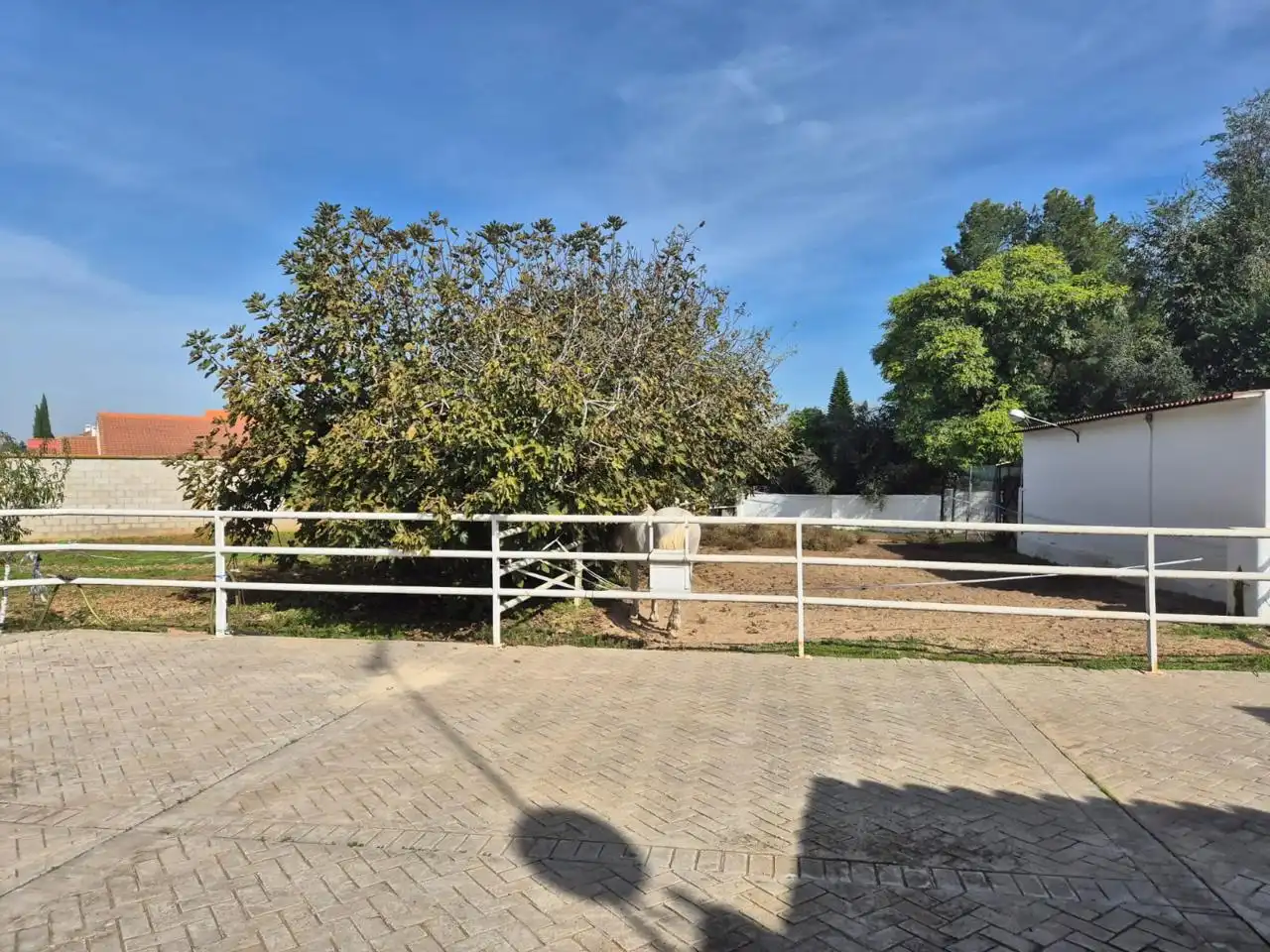 Vista exterior de Casa o chalet en venta en Palomares del Río con Aire acondicionado, Jardín privado y Terraza