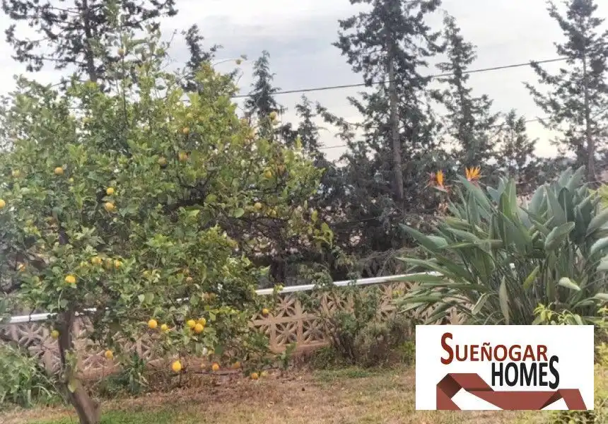 Houses for sale in Cortijo de Maza - Finca Monsalvez - El Olivar