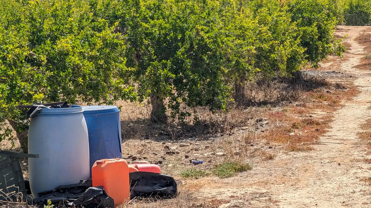 Vista exterior de Casa o xalet en venda en Elche / Elx amb Aire condicionat, Jardí privat i Terrassa