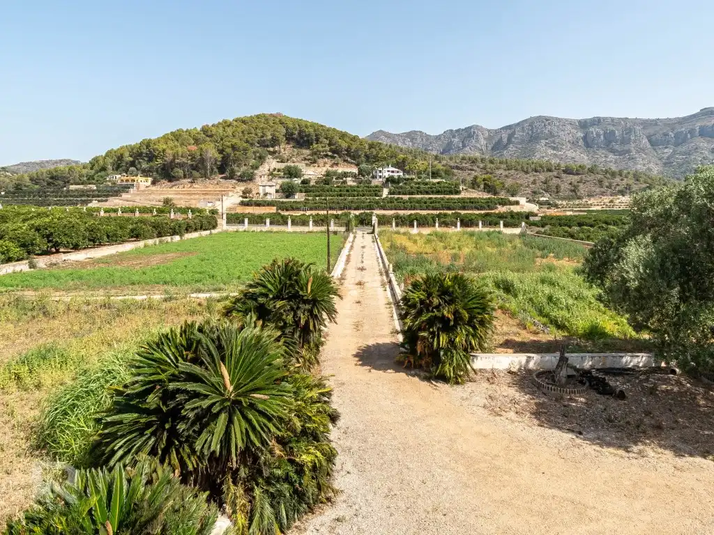 Houses for sale in Benifairó de la Valldigna