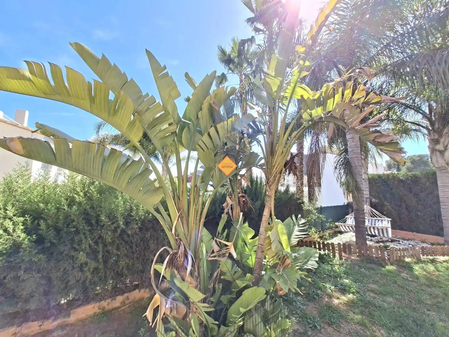 Jardín de Casa o chalet en venta en Paterna con Aire acondicionado, Calefacción y Jardín privado