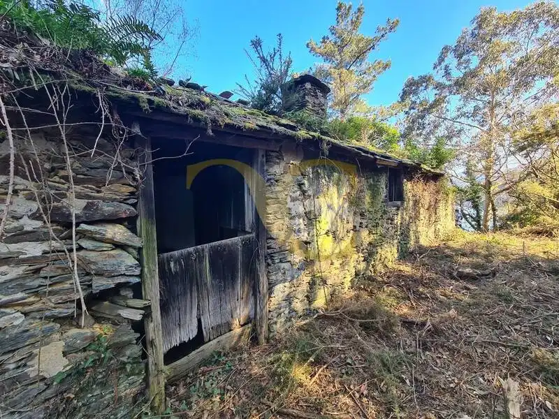 Vista exterior de Casa o xalet en venda en Villayón amb Jardí privat