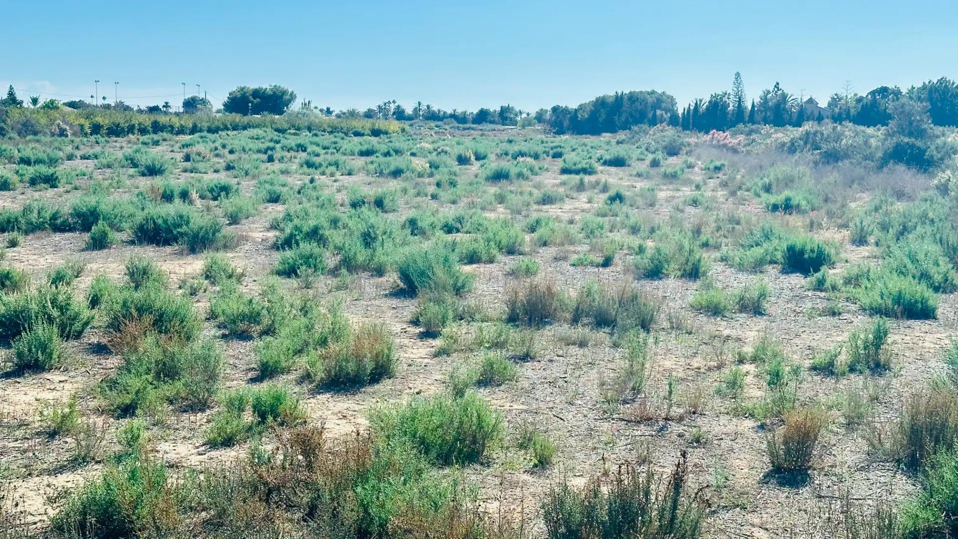 Terreno residencial en venta en Perleta - Maitino, imagen 5