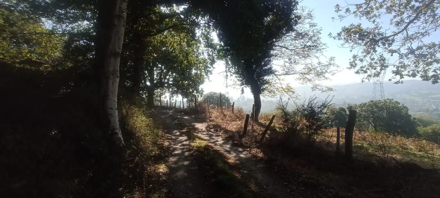 Vista exterior de Finca rústica en venta en Nava