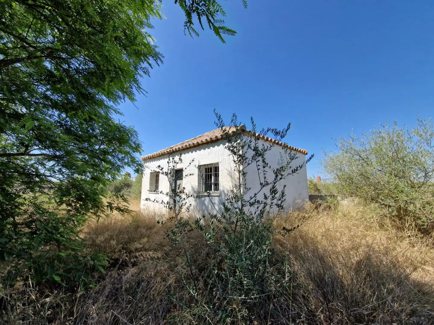Casa rústica en venda a Ctra Sanlúcar - Cuatro Pinos, imagen 4