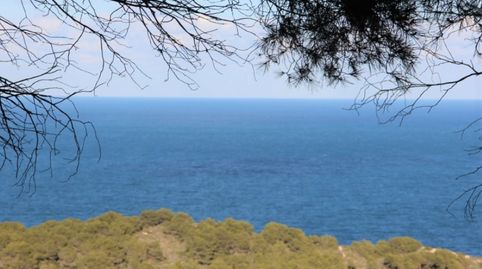 Photo 3 of Houses for sale in La Granadella - Costa Nova, Jávea / Xàbia