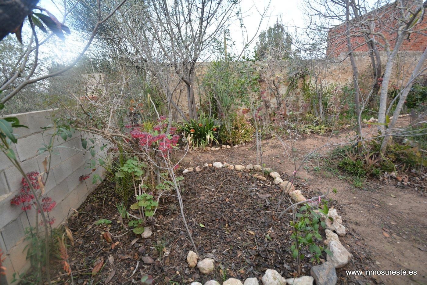 Jardí de Casa o xalet en venda en Orihuela