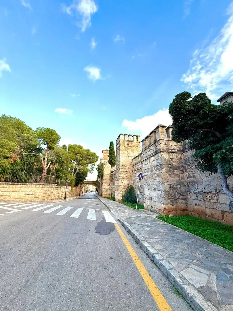 Vista exterior de Apartamento en venta en  Palma de Mallorca