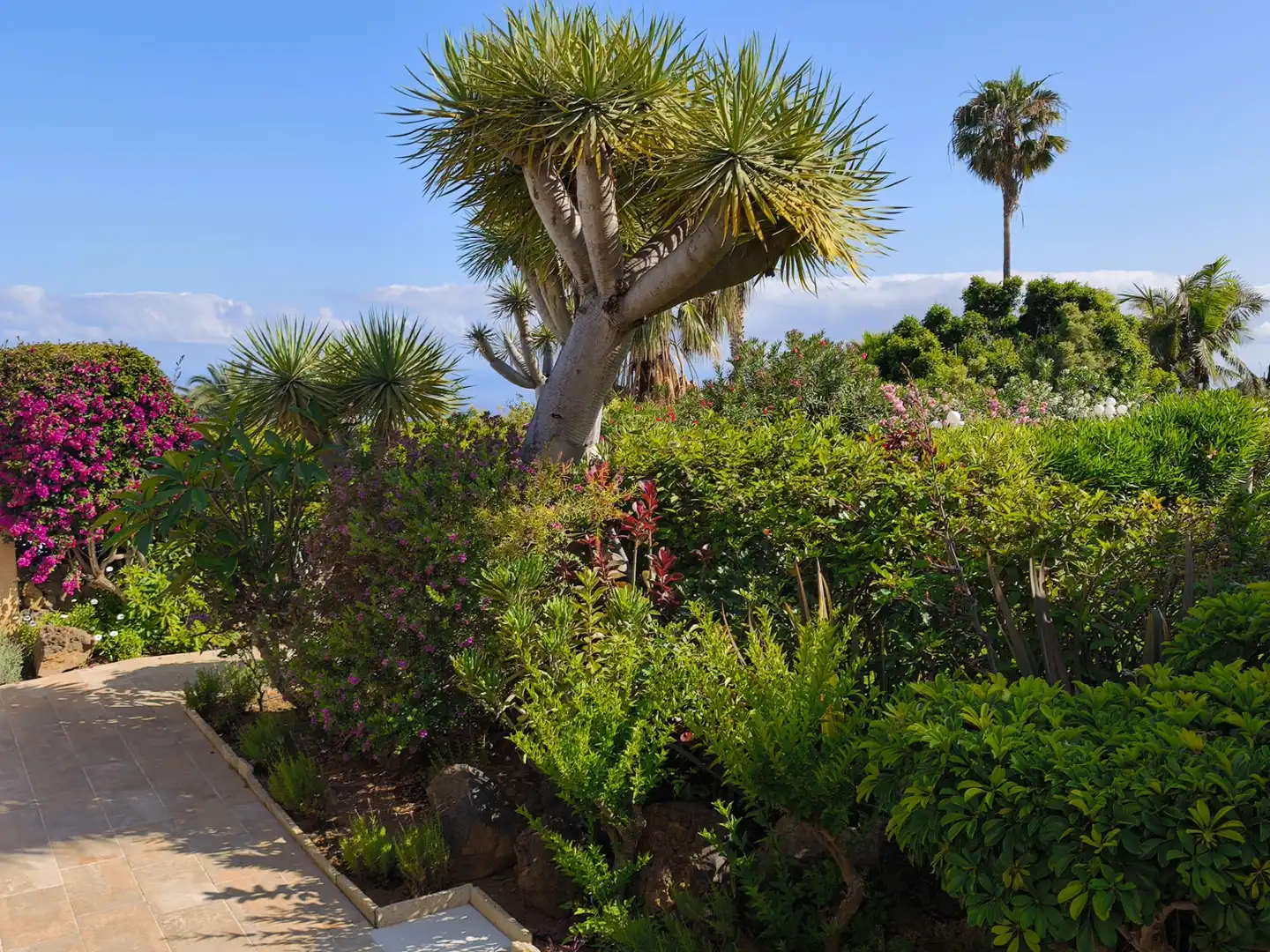 Garten von Wohnungen zum Verkauf in Santa Úrsula mit Privatgarten, Terrasse und Abstellraum
