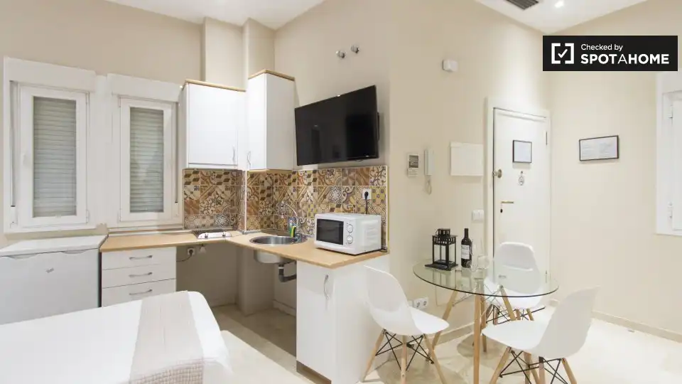 Wohnung mit Terrasse zur Miete in Centro, imagen 6