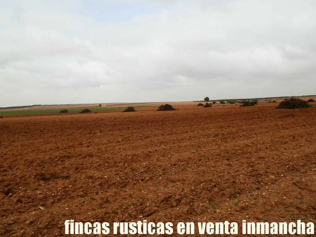 Terreno rustico in vendita a Alcázar de San Juan, imagen 10