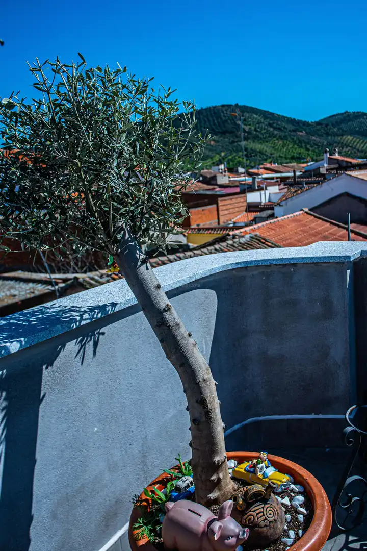 Country homes for sale in Belvís de la Jara