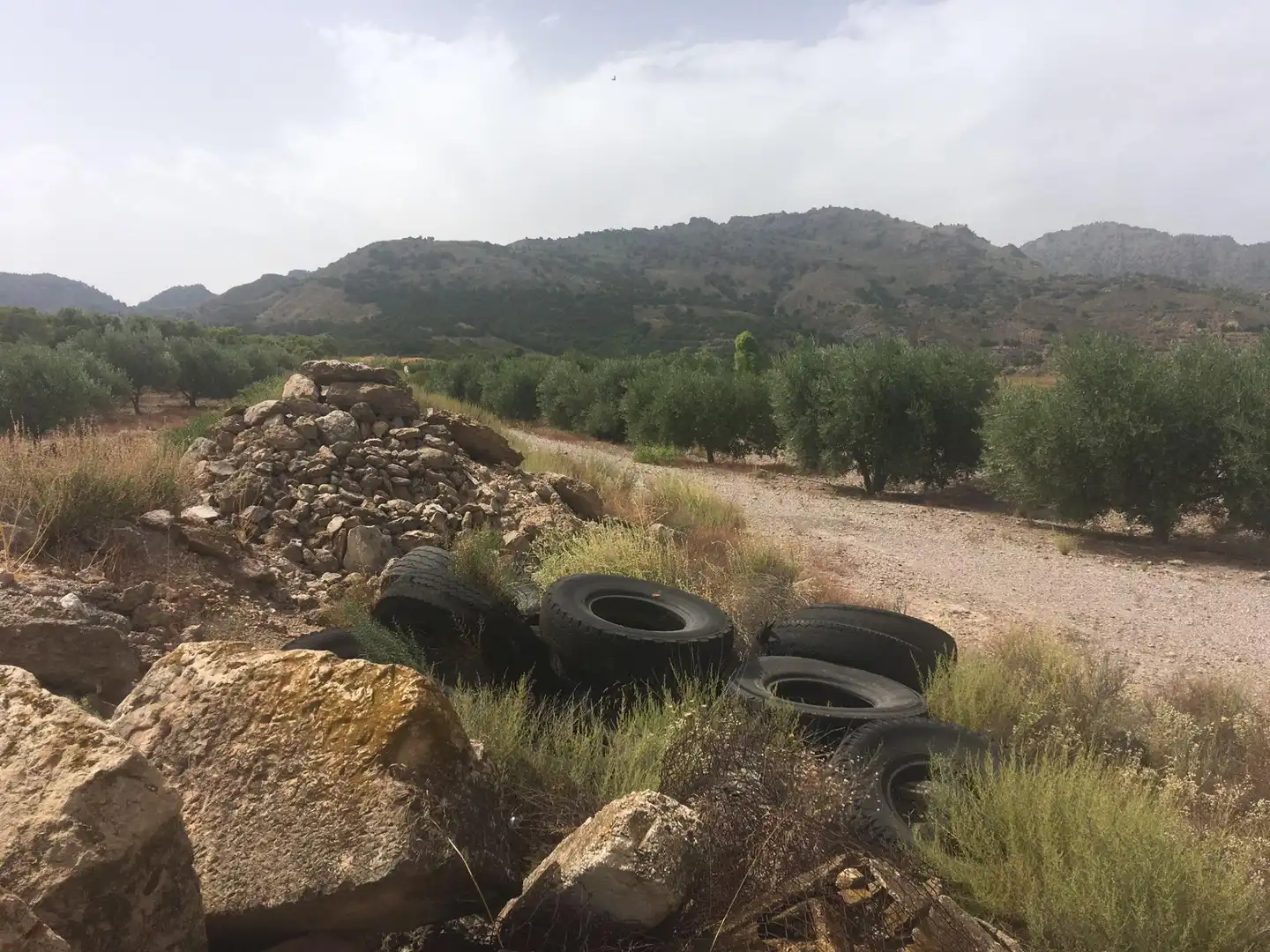 Außenansicht von Country house zum Verkauf in Lorca mit Privatgarten und Schwimmbad