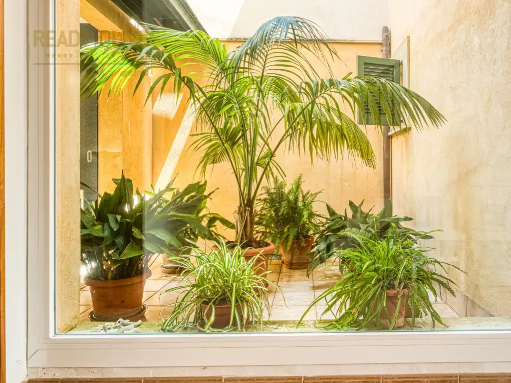 Garten von Einfamilien-Reihenhaus zum Verkauf in Alcúdia mit Klimaanlage, Privatgarten und Terrasse