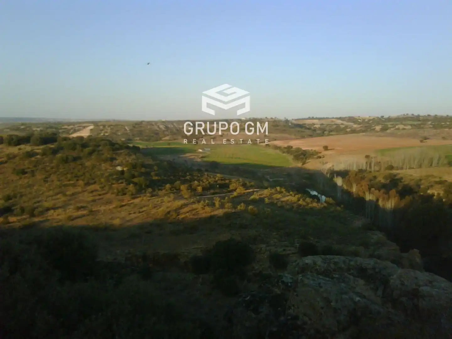 Rural land for sale in Mayor, imagen 4