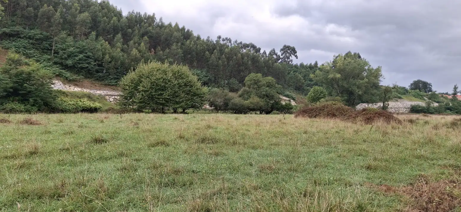 Terreno rustico in vendita a LAS CERRADAS, imagen 8