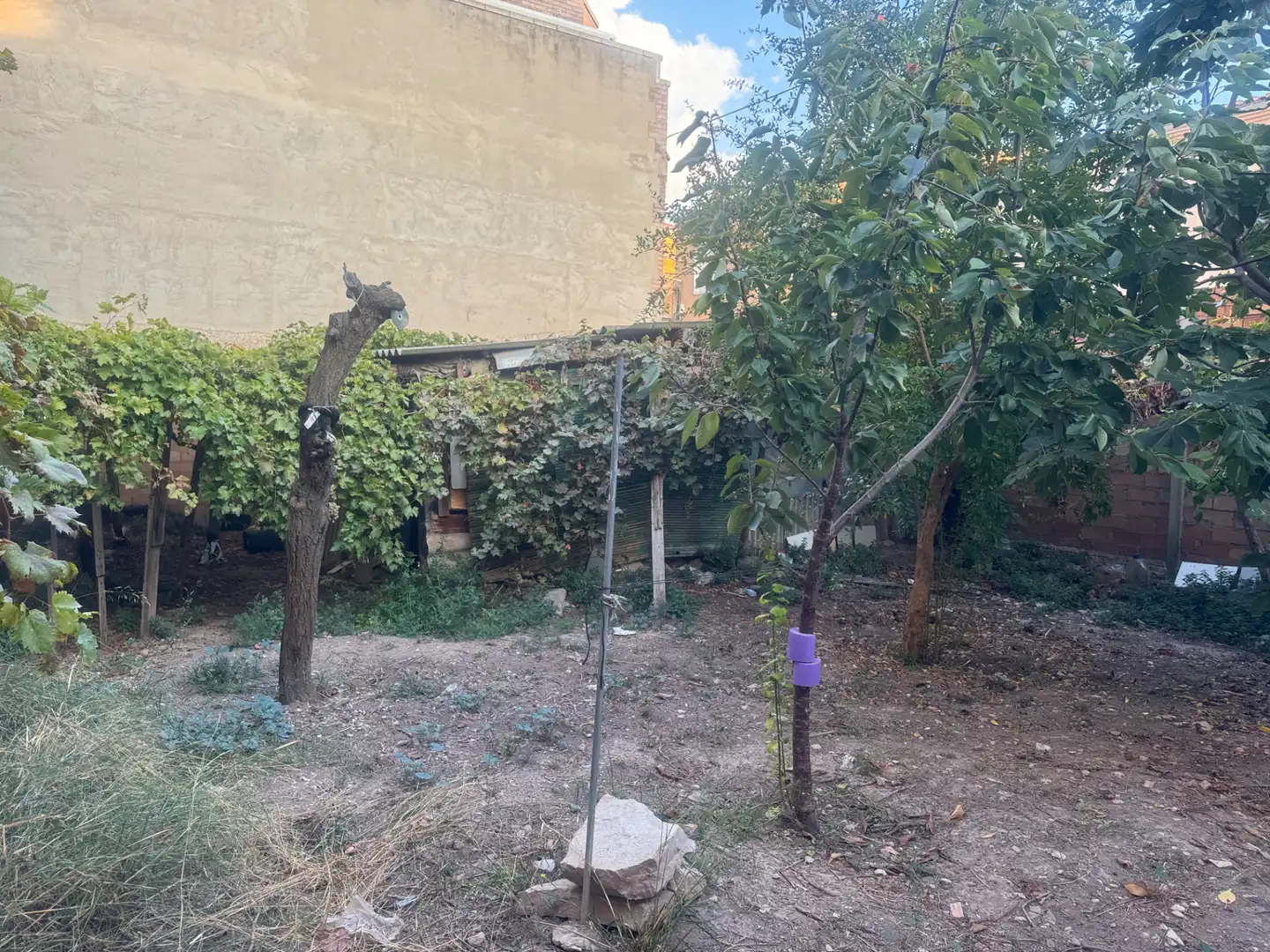 Terreny residencial en venda a Carrer de Gabriel de Tàrrega, imagen 4