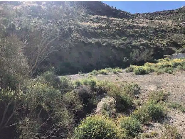 Rustikales Grundstück zum Verkauf in Sc/ Piedra Alegre, imagen 10