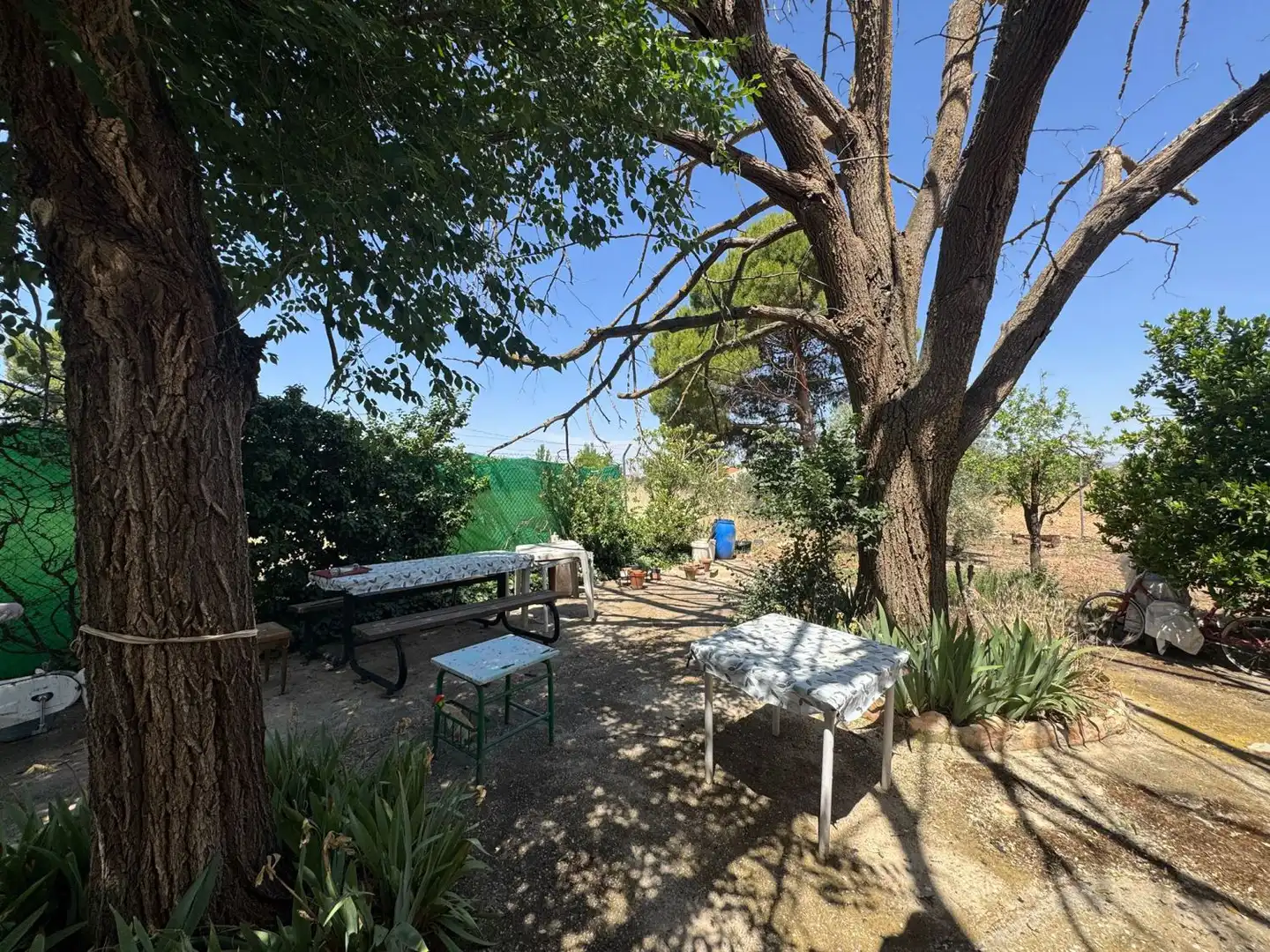 Jardín de Finca rústica en venta en Valdepeñas con Piscina