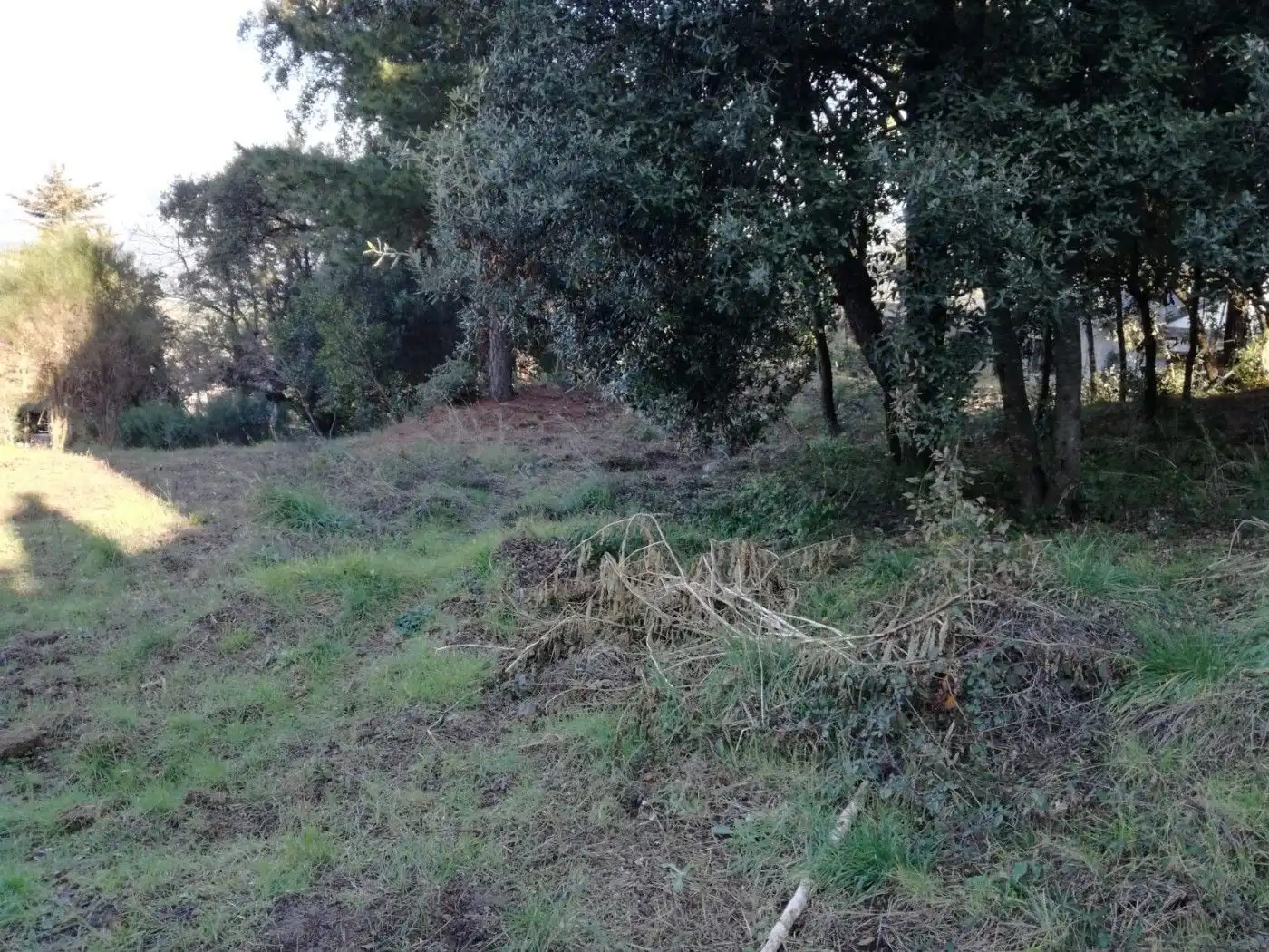 Residential land for sale in Vallgorguina, imagen 2
