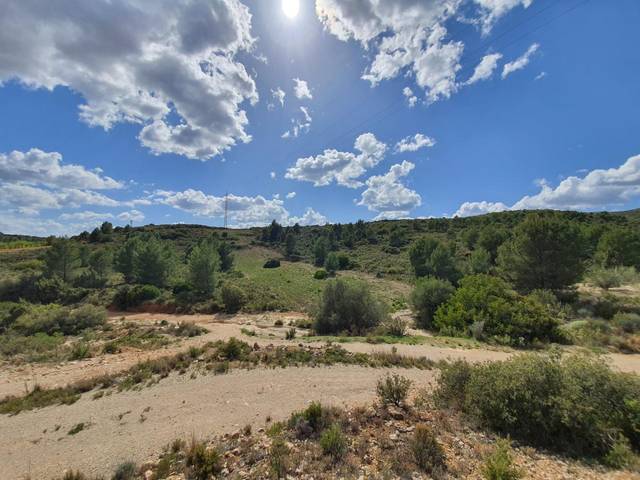 Terreno en Venta en Buñol