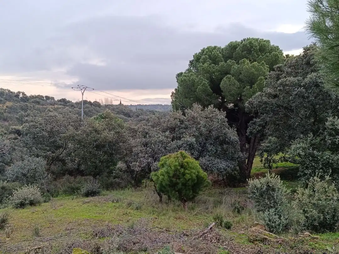Residencial en venda en Villa del Prado, Madrid