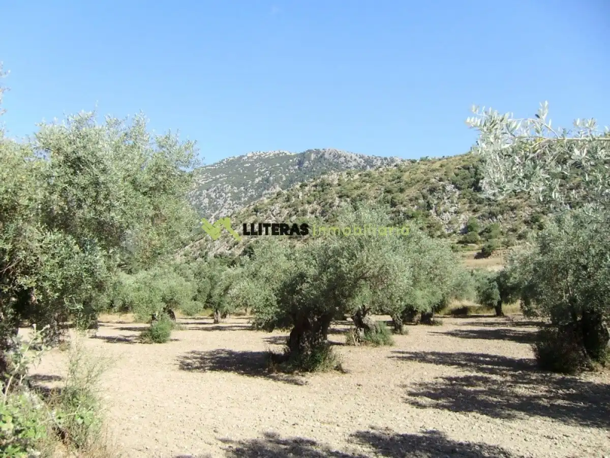 Country house for sale in Bunyola, imagen 5