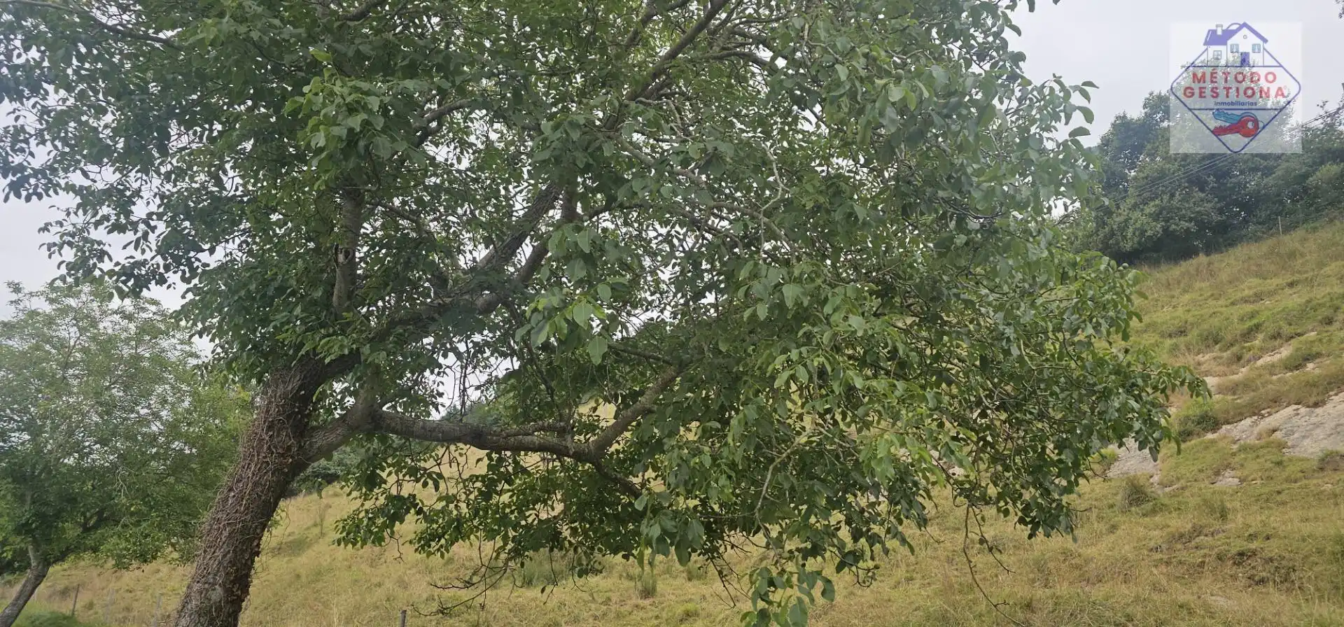 Terreni e lotti in vendita a Val de San Vicente, imagen 22