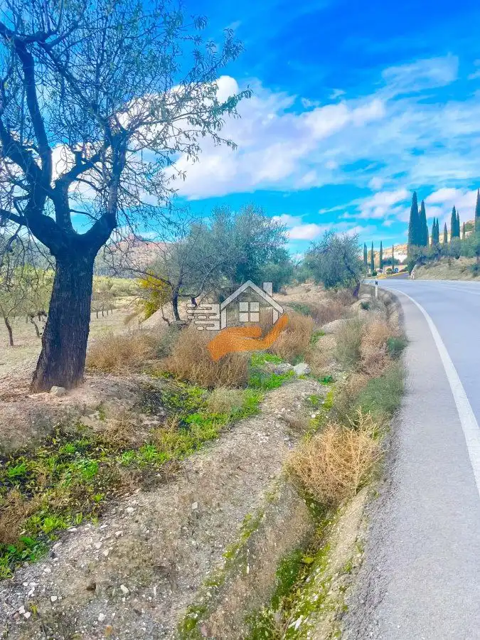 Residential land for sale in Vélez-Rubio, imagen 7