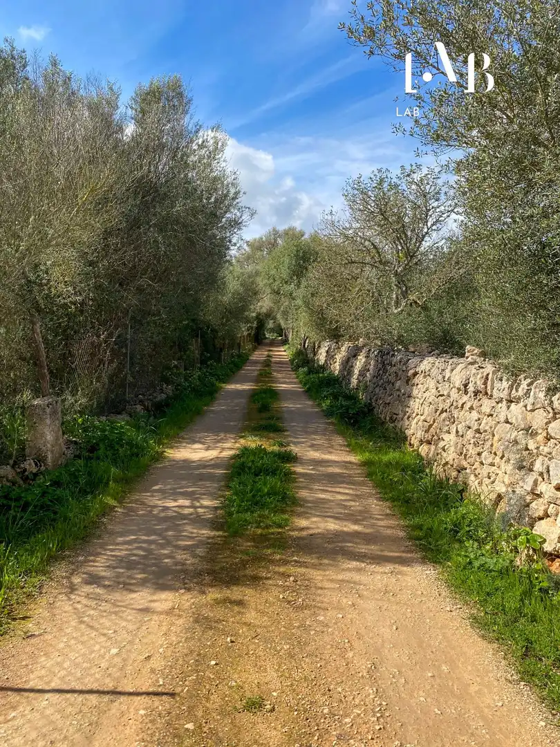 Grundstücke und Bauplätze zum Verkauf in Camino Polígono 3 Parcela 4 ES RAFALET. ALGAIDA (ILLES B, imagen 7