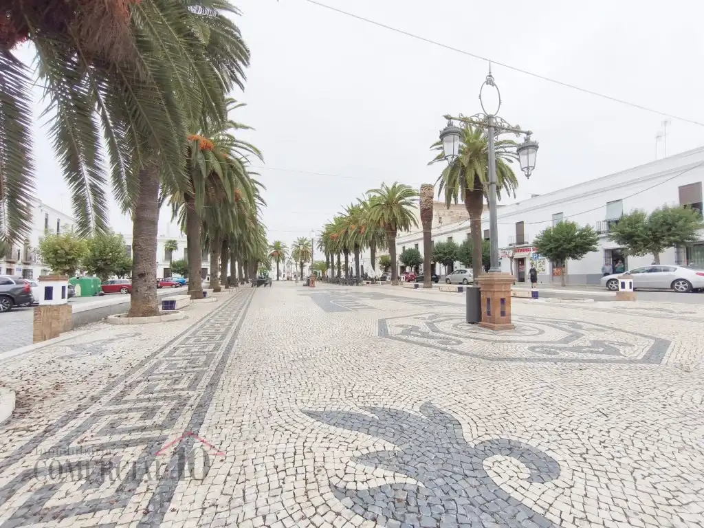 Immobles singulars en venda a Olivenza, imagen 28