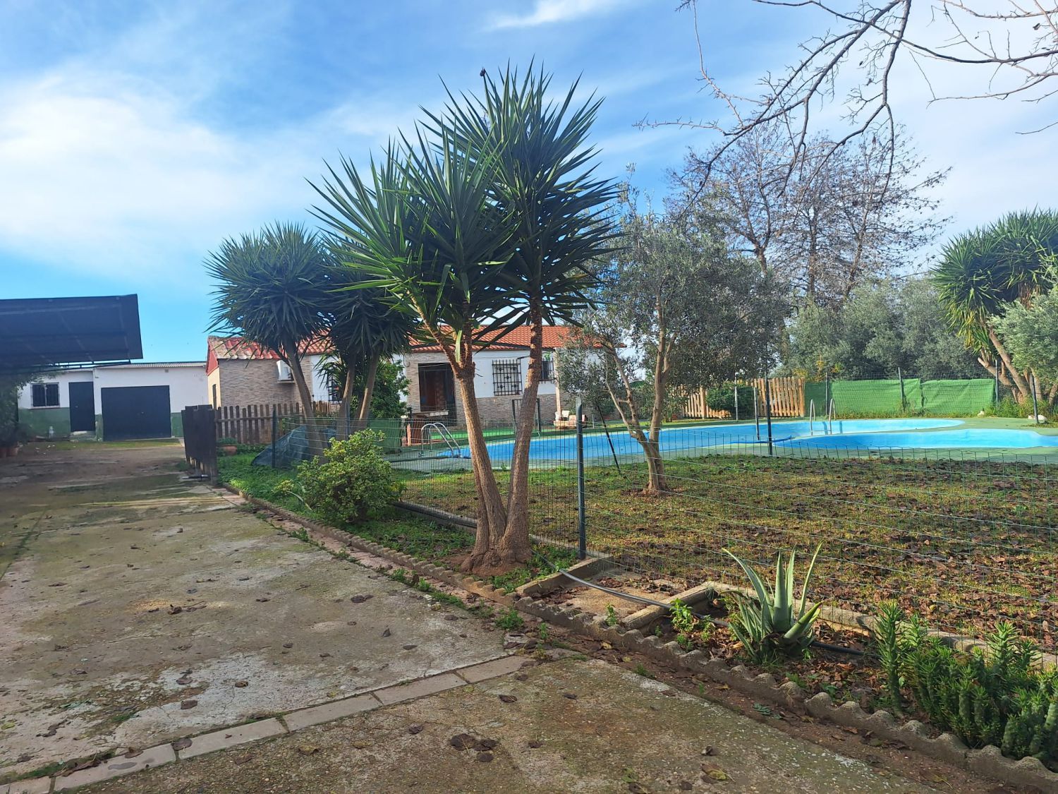 Garden of House or chalet for sale in Alcalá de Guadaira