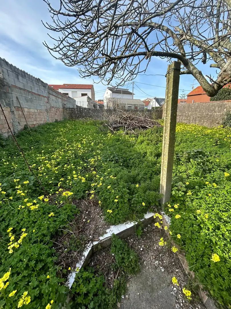 Houses for sale in Ribeira