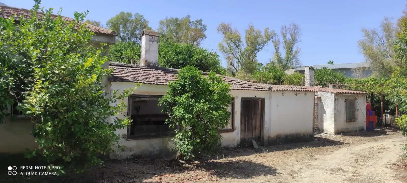 Terreno rustico in vendita a Ardelejos - Cuesta de la Palma - Buenavista, imagen 2