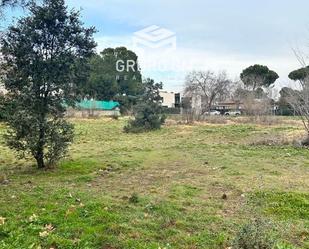 Land for sale in viñas 22, Fuente del Fresno