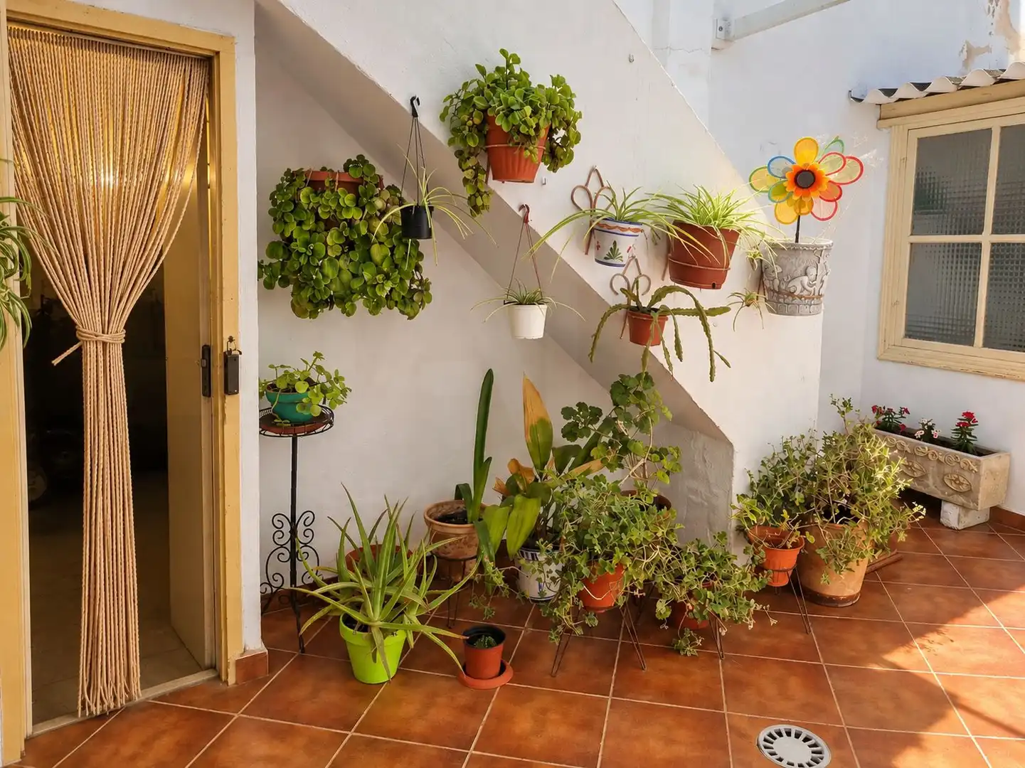 Casa in vendita a Sax, imagen 17