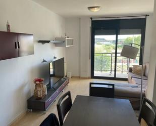 Living room of Flat for sale in Sant Pere de Riudebitlles  with Swimming Pool and Balcony