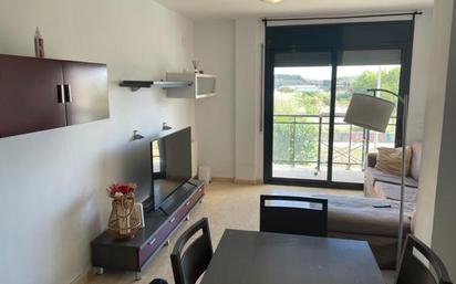 Living room of Flat for sale in Sant Pere de Riudebitlles  with Swimming Pool and Balcony