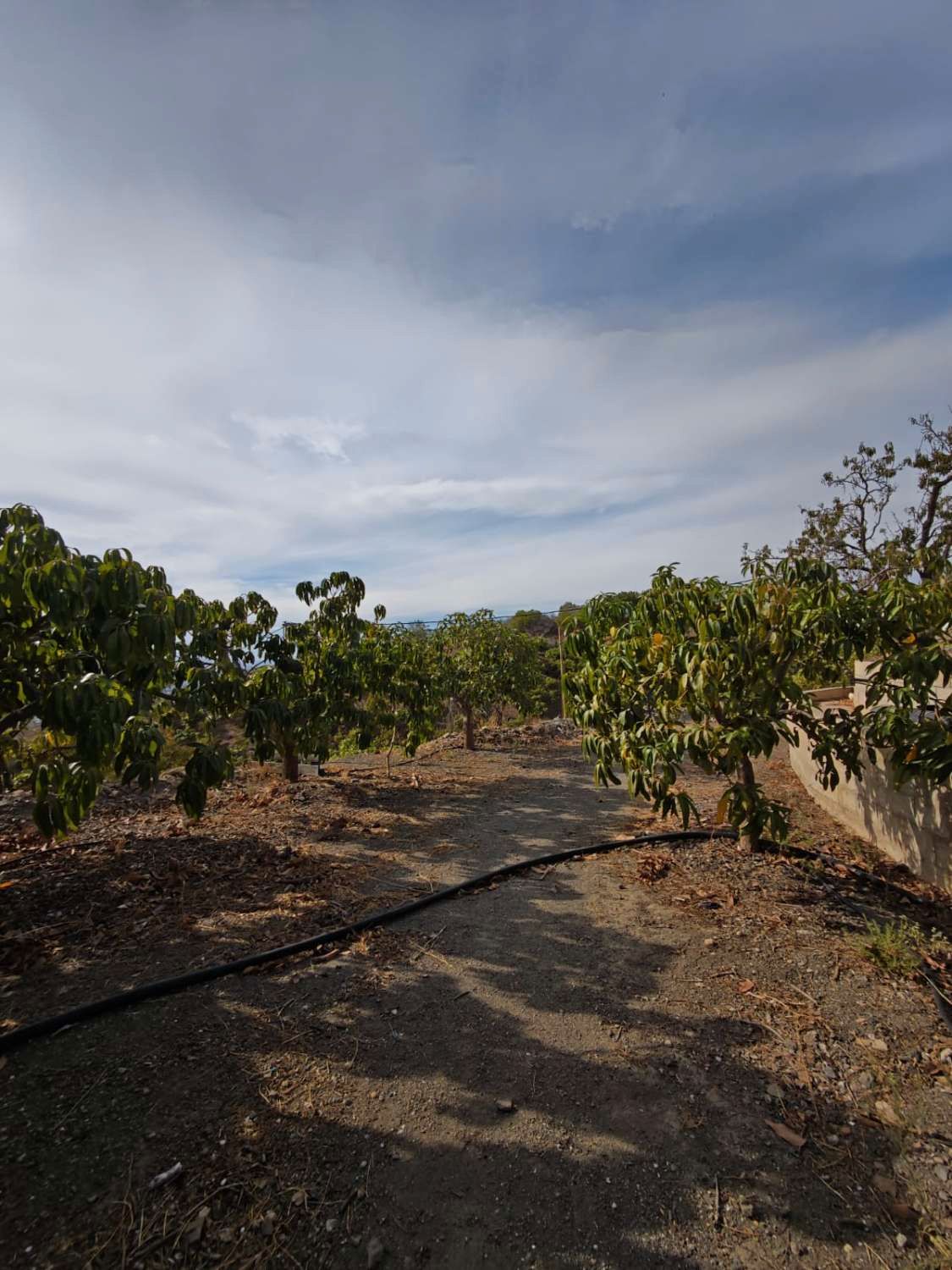 Country house for sale in Vélez-Málaga  with Air Conditioner, Terrace and Storage room