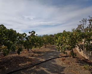 Finca rústica en venda en Vélez-Málaga amb Aire condicionat, Terrassa i Traster