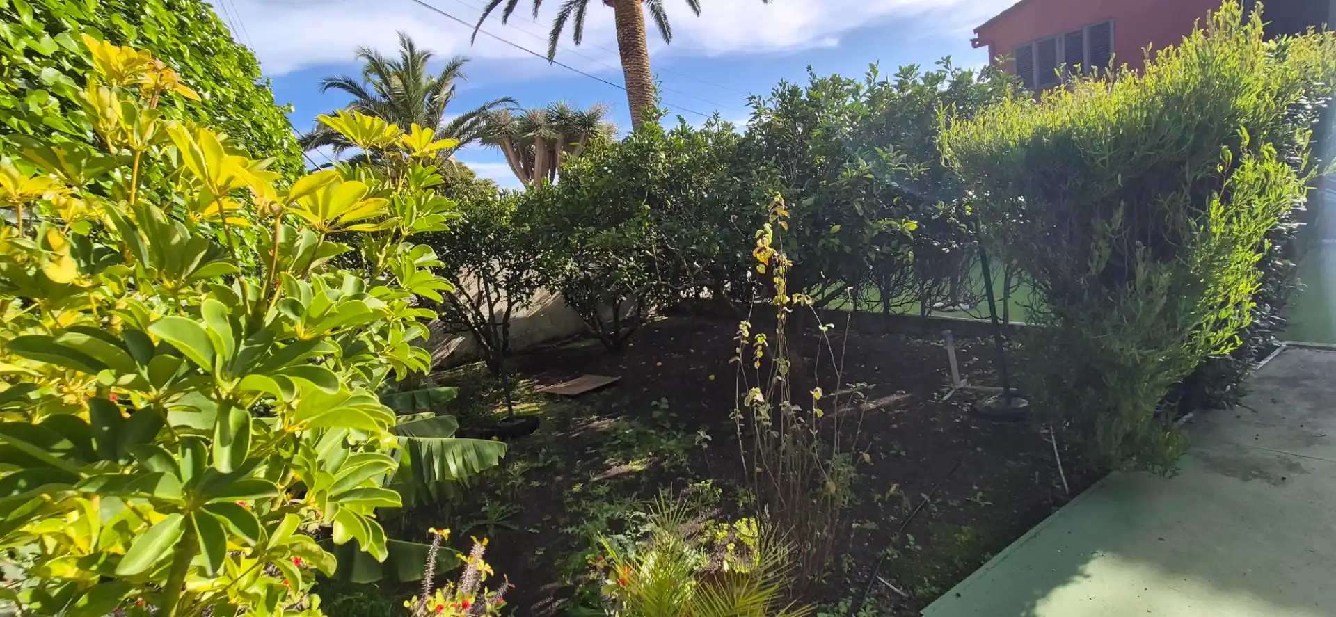 Garden of Houses for sale in San Cristóbal de la Laguna  with Private garden, Terrace and Storage room